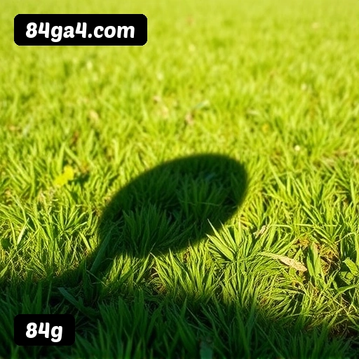 Grandes vencedores 84g de São Paulo, Rio de Janeiro, Belo Horizonte - Saques PIX confirmados